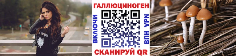 площадка телеграм Шумерля Галлюциногенные грибы прущие грибы как найти закладки